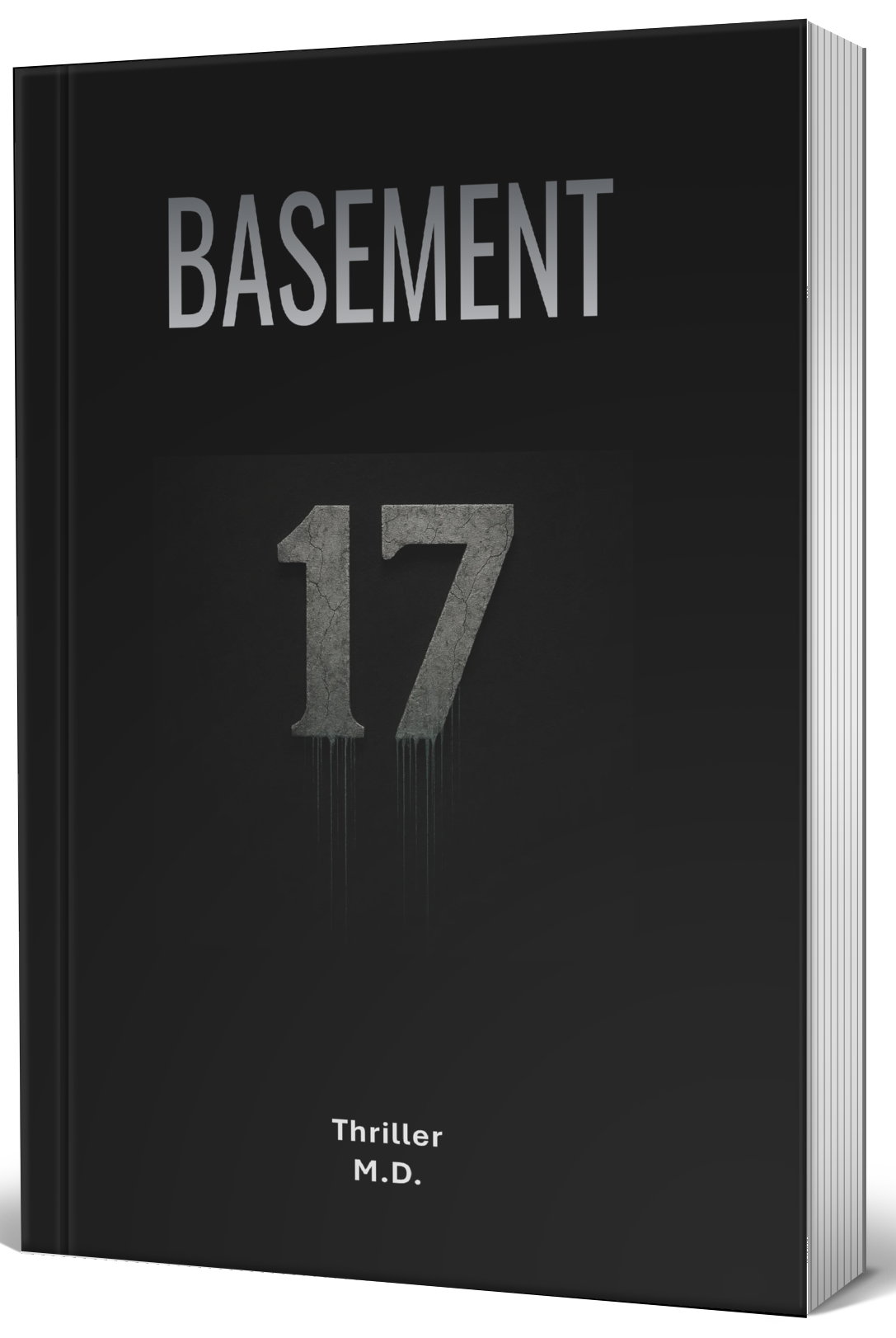 Basement 17 Cover